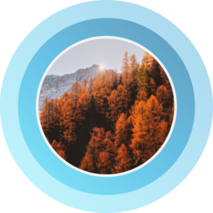 Rewards4Earth reforestation OUR SEVEN PILLARS Part of every dollar spent goes to saving the planet Reforestation - to rehabilitate the ecosystem and mitigate climate change